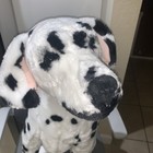 Melissa   Doug Giant Dalmatian Lifelike Stuffed Animal Dog  over 2 Feet Tall 