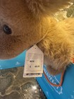 Jellycat Jellyfest Pecanine Sausage Dog Kadewe Berlin Exclusive Uk Seller In Han