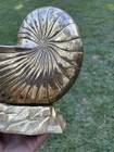 Brass Shell Vase Planter Home Decor Vintage Mcm 8 5    Tall 9    Wide
