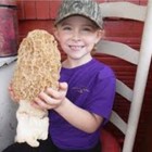 Morel Mushroom- Garden Grow Kit- Guaranteed  Free Shipping 