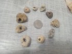 Hag Stone Lot Of 10 Stones Natural Ocean