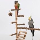 Bird Playground Birdcage Playstand Pet Bird Perch Platform Stand Parrot Toy