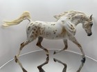 Cm Custom By S Baking On Breyer Mold Weather Girl Beautiful Leopard Appaloosa