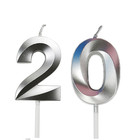 Silver Number 20 Candles 20th Birthday Party Cake Decoration Aniversary Age Year