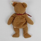 Ty Beanie Baby Curly The Bear 8 5  Plush Stuffed Animal