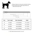 Reflective Dog Collar Personalized Nylon Adjustable Custom Pet Name Id Tag S-xl