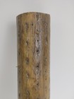Vintage Cactus Wood 10  Rain Stick Musical Instrument Percussion Rainmaker