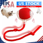 Cat Interactive Ball Toys Rolling Ball Faux Tail Rechargeable Smart Pet Toy