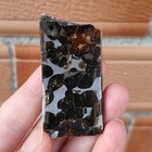 27 9g Kenya Sericho Pallasite Iron Meteorite Slice
