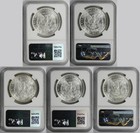 Lot 5 Different Date Morgan Dollar  1 Ms 64 Ngc 5 Coins