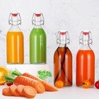 16oz Swing Top Bottles -glass Beer Bottle With Airtight Rubber Seal Flip Caps Fo