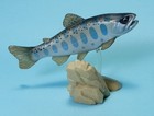 Yujin Freshwater Fish In Color Cherry Salmon Fish Mini Figure Us Seller