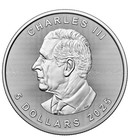 2025 1 Oz Canada 9999 Fine Silver Maple Leaf  5 Coin Bu - In Stock