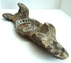 One Of A Kind - 6 Nautilus Fossils Embedded In Large Stone 20   101