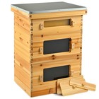 Bee Hive Frame Beehive Kit W  Beeswax Beekeeping 30 Frames  20 Deep 10 Medium
