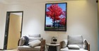 11x17 Picture Frame 11 By 17 Picture Frame Black Display Pictures 11x17