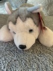 Fao Schwarz Adopt A Pets Husky Plush Stuffed Animal Gray White Medium