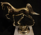Vintage Arabian Horse Trophy Topper 4    X 4 1 2   inches Metal Nos Gold Tone