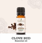 Clove Bud Oil - 100  Pure Therapeutic Essential Oil - Warm  Sweet-spicy Aroma