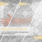 Window Privacy Film Decorative For Front Door  Bathroom Static Cling Stained Gla