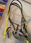 Black Leather Halter Bridle Combo - With Brass Hardware - Well Made 