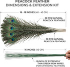 Lamar 30 Pcs 32-34 Inch Peacock Feathers With Wire Extenders Long Feathers For V