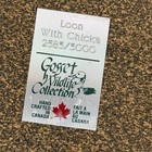 Vintage Loon W chicks Gosset Wildlife Collection Hand Crafted 2585 3000 Canada