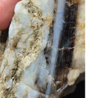 Opalized Petrified Wood W  Blue Hues Specimen Natural Form  12oz 