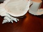 Vintage Atlantic Mold Conch Shell Planter Self Watering W insert 10 X 7 X 6 