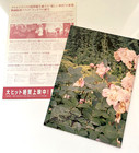 The Virgin Suicides Japanese Pamphlet Sofia Coppola Movie Program Flyer Postcard