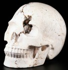 Huge 5 0  Howlite Carved Crystal Skull  Realistic  Crystal Healing