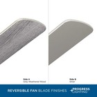 Progress Lighting P250084 Airpro E-star 52  5 Blade Indoor - Black
