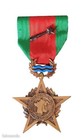 Medal Of The 1st French Army - Rhine And Danube 1944-1945  Original Case    