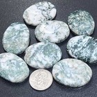 Tree Agate Cabochons Mixed Shapes And Sizes Bulk Wholesale Jewelry Supply