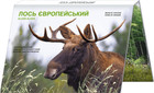 Ukraine 5 Hryven  Chernobyl  Renaissance  European Elk In Bukle 2025 Year