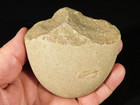 Paleolithic Age Oldowan Pebble Chopper 2 9 To 1 7 Million Years Old 309gr