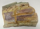 Lovelock Crayola Jasper 170gm Lapidary Gem Cabbing Slab
