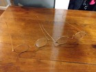 Antique Vtg Gold Filled Or   Eyeglasses Lot Of 2  Cases Hardy Yellow Fellow