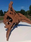 Natural Driftwood  Awesome For Your Aquarium 