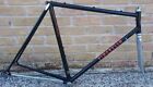 Pinarello Treviso 55 Cm Steel Road Bike Frame Italian Made Frameset  Campagnolo 