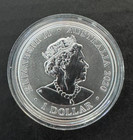 2020 Australia s Most Dangerous Redback Spider 1 Oz  999 Silver Coin In Capsule