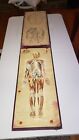 Rare 1889 The  man Wonderful  Manikin  Adelbert Gardenier Early Anatomical Guide