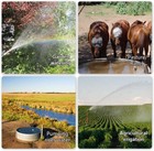 12v Dc Submersible Deep Well Pump 3 2gpm 230ft For Irrigation    stainless Steel