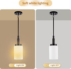 2 Pack Frosted Opal White Glass Lamp Shade  Lip-less Cylinder Glass Light Fixtur