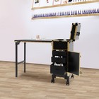 Pro Rolling Makeup Trolley Case Salon Cosmetic Train Case With 3 Drawers Mirror
