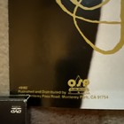 Madonna Dita Erotica Official Poster 1992 Winterland Rare Perfect