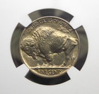 1913  s  Indian Head Buffalo Nickel   type 2   5c Ngc Unc Details  008 Ecc c Inc