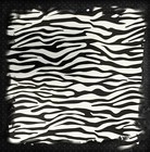 Dip Demon Mini Zebra Hydrographic Water Transfer Film Hydro Dipping