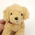 Ty Beanie Babies Dooley 2006 Golden Retriever Puppy Plush 7 