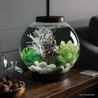 4-gallon Aquarium With Led Lights Compact Tank For Tabletop desktop Display New